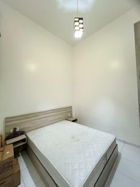 Dictyo Alba,Setia Tropika - 5