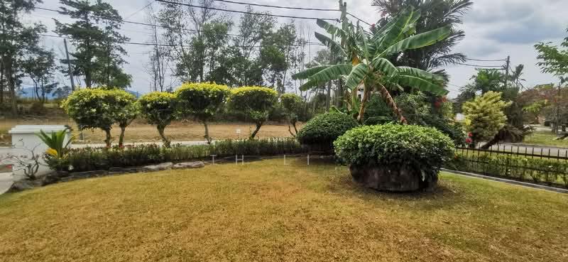 Staffield country resort - 4
