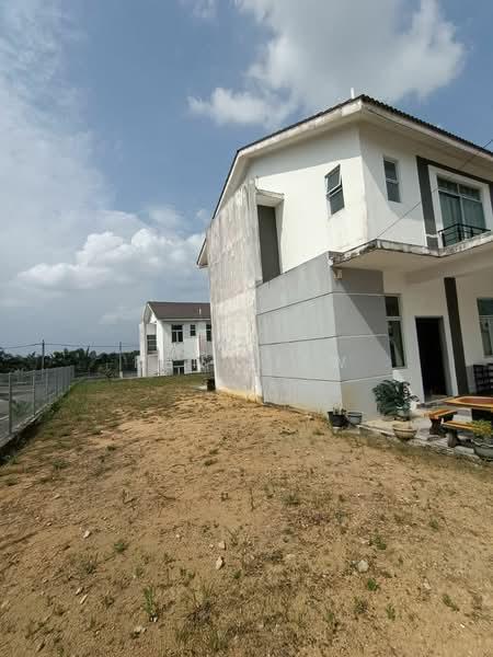 Kelapa Sawit Kulai - 2