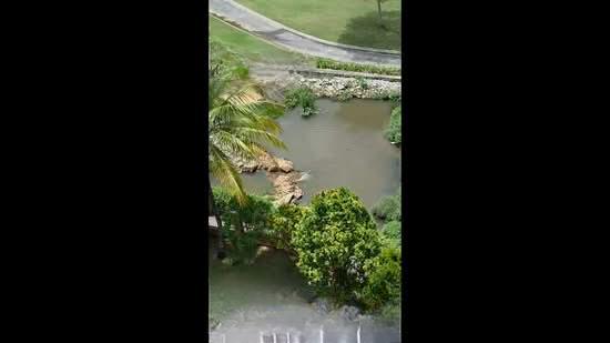 Sg Long Residence - 2