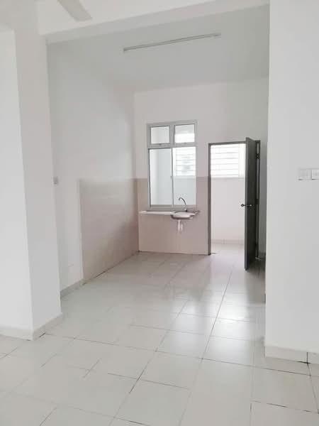 Aster pulai mutiara - 3