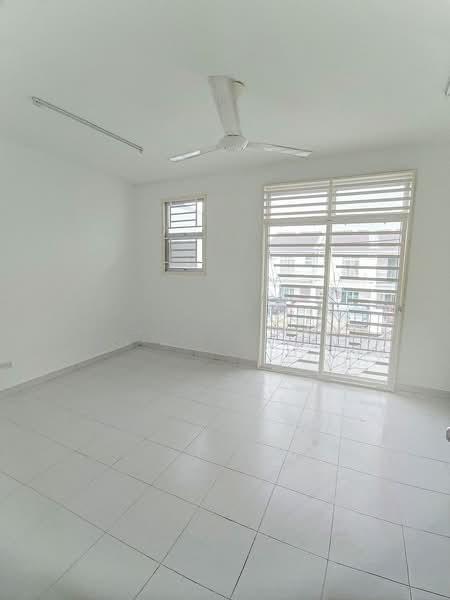 Aster pulai mutiara - 3