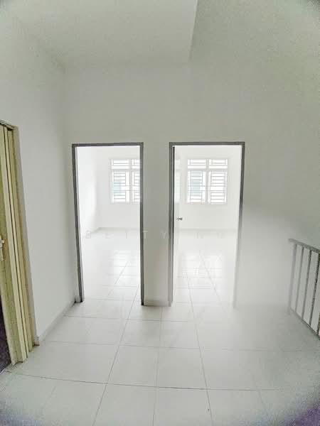 Aster pulai mutiara - 4