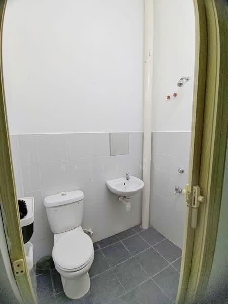 Aster pulai mutiara - 5
