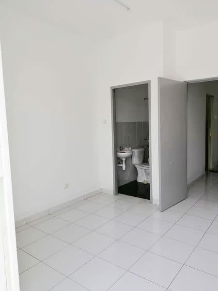 Aster pulai mutiara - 5