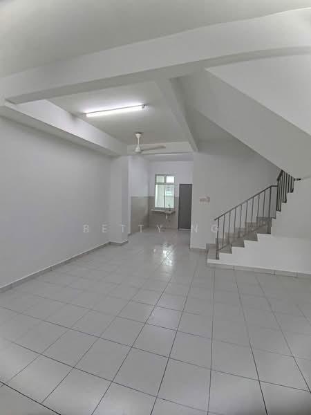 Aster pulai mutiara - 1