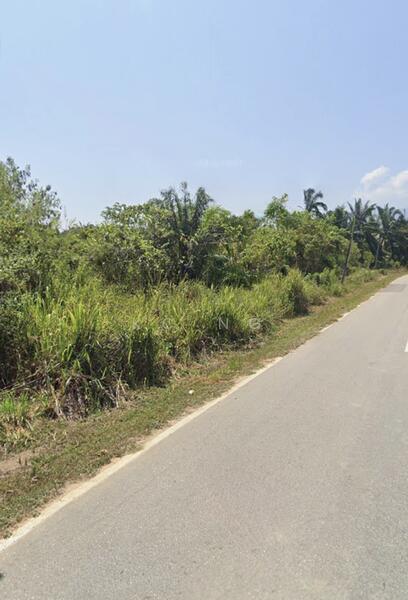 Selat Pagar Lenggong Perak Freehold Agricultural Land For Sale. - 2