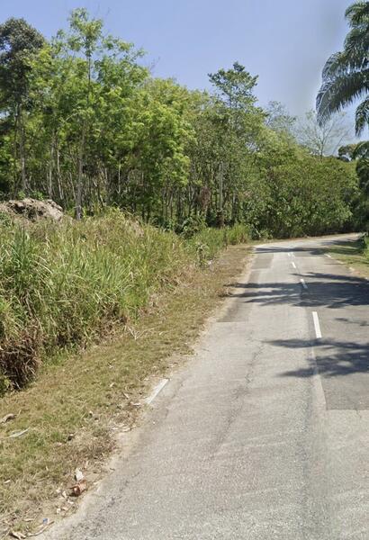 Selat Pagar Lenggong Perak Freehold Agricultural Land For Sale. - 4
