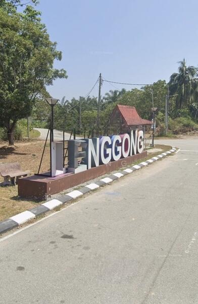 Selat Pagar Lenggong Perak Freehold Agricultural Land For Sale. - 1