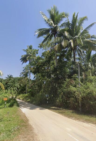 Selat Pagar Lenggong Perak Freehold Agricultural Land For Sale. - 3