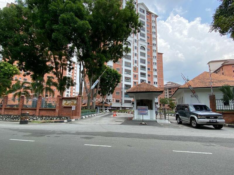 Evergreen Park Scot Pine - 1