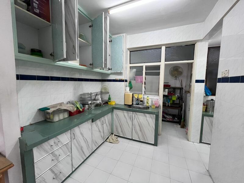 Kingfisher Series - 3