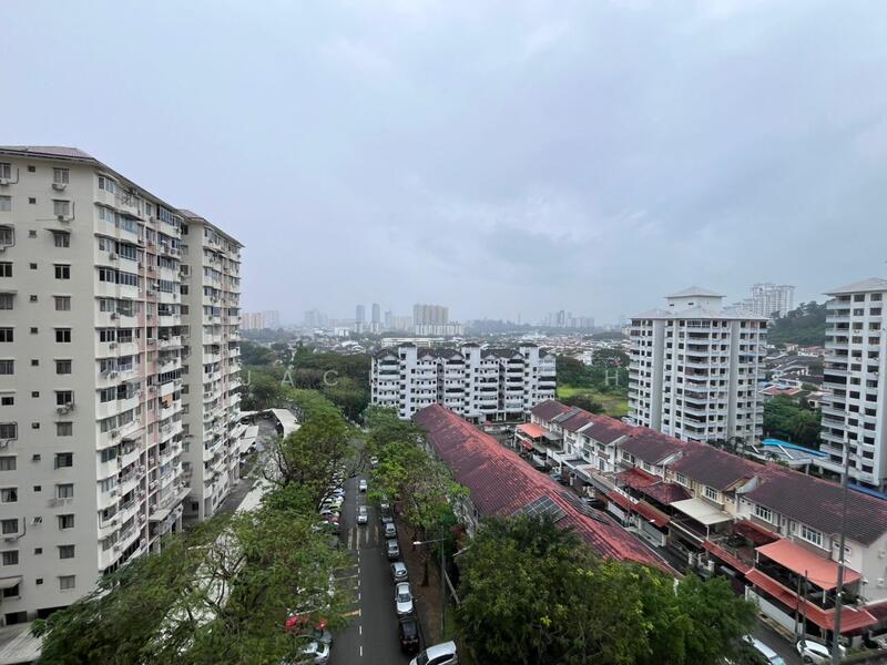 Kingfisher Series - 1