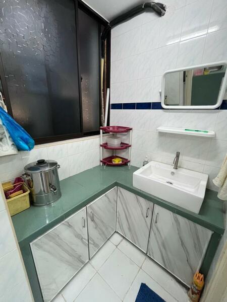 Kingfisher Series - 4