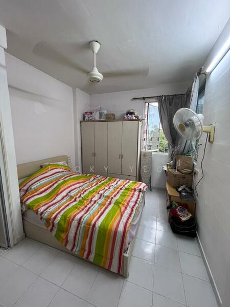 Kingfisher Series - 2