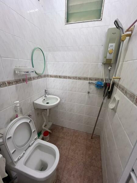 Kingfisher Series - 5