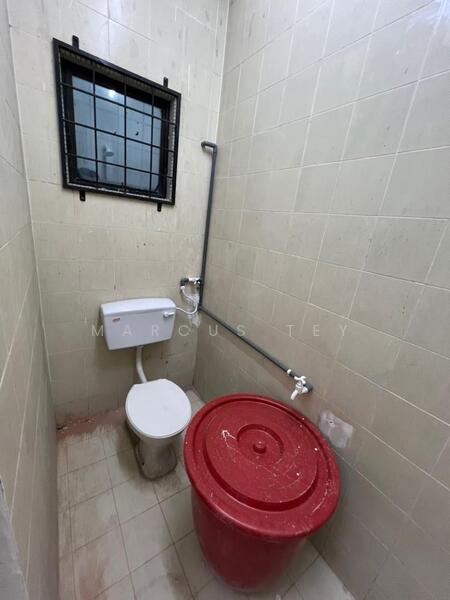 Kluang Kluangs - 2