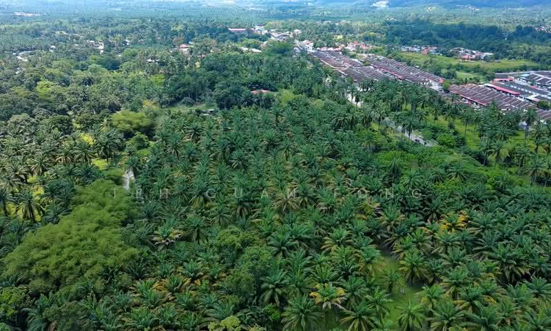 10.39 acre Agricultural Land | Sungai Jawi | SPS Penang RM15 psf - 4