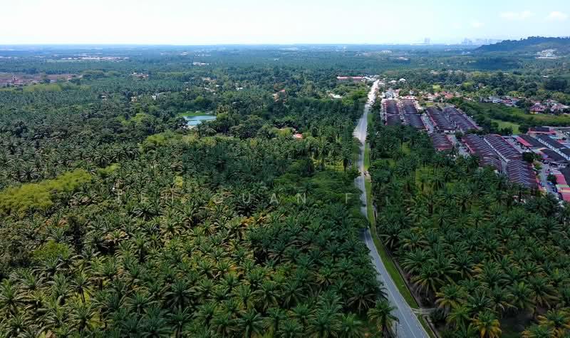 10.39 acre Agricultural Land | Sungai Jawi | SPS Penang RM15 psf - 1