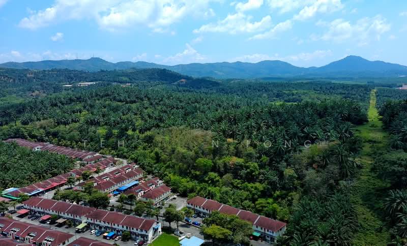 10.39 acre Agricultural Land | Sungai Jawi | SPS Penang RM15 psf - 5