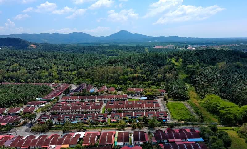 10.39 acre Agricultural Land | Sungai Jawi | SPS Penang RM15 psf - 3