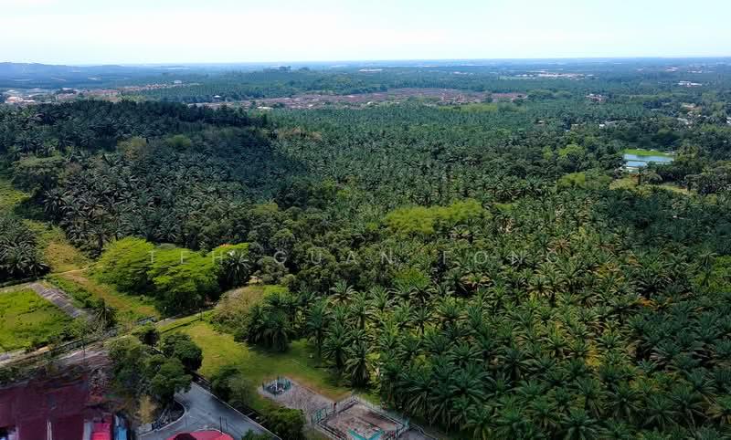 10.39 acre Agricultural Land | Sungai Jawi | SPS Penang RM15 psf - 2