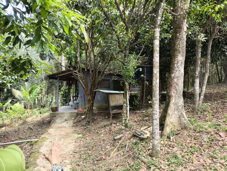 Kuang Industrial Park - 3