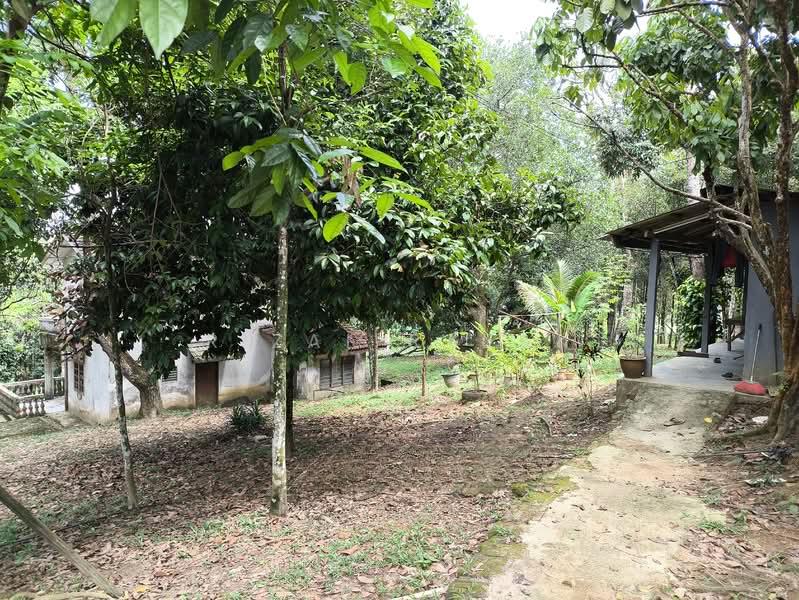 Kuang Industrial Park - 1