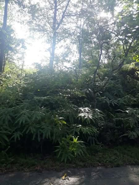 Kayangan Heights - 5