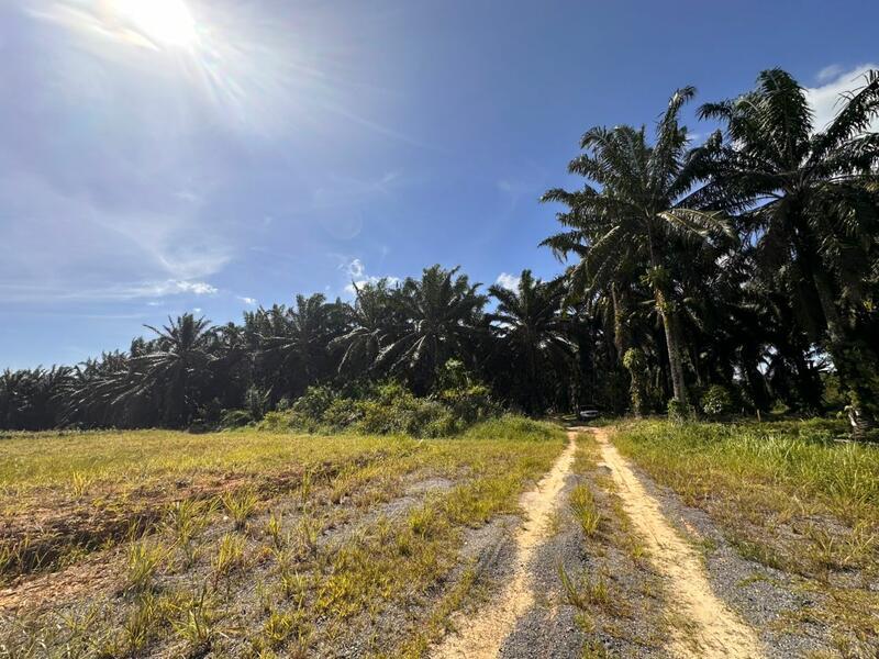 Sungai Tiram Sungais Tirams - 1