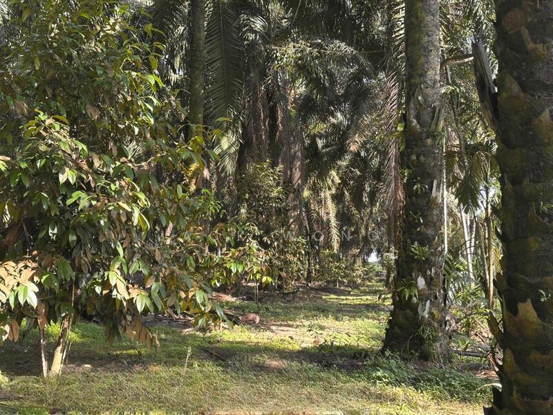 Sungai Tiram Sungais Tirams - 3