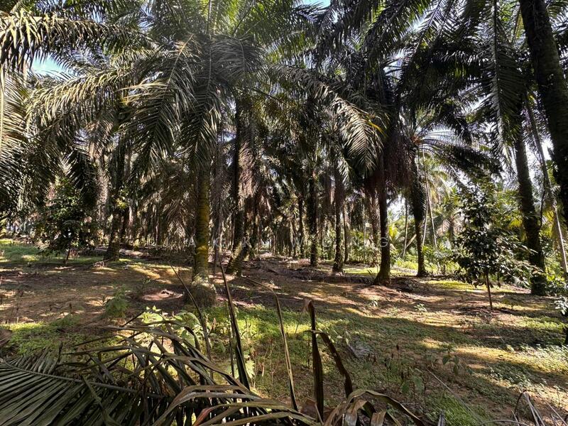 Sungai Tiram Sungais Tirams - 4