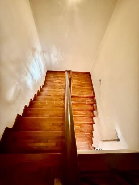 Molek Moleks Molek - 4