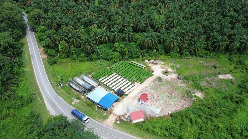 Linggi FREEHOLD BIG LAND Tanah Pertanian Jalan Linggi Negeri Sembilan - 3