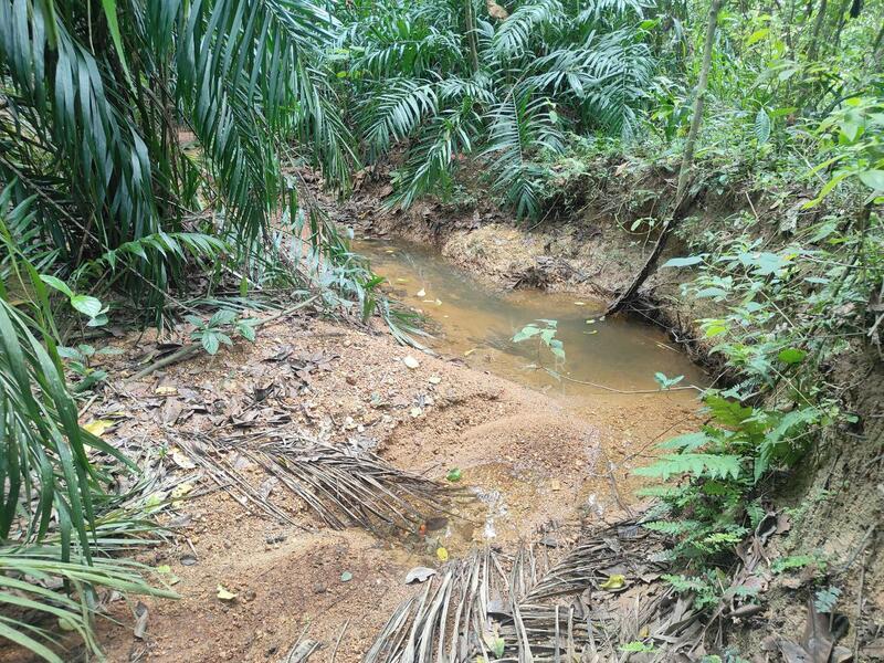 Linggi FREEHOLD BIG LAND Tanah Pertanian Jalan Linggi Negeri Sembilan - 5