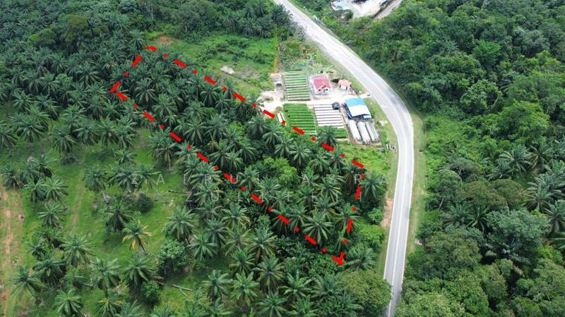 Linggi FREEHOLD BIG LAND Tanah Pertanian Jalan Linggi Negeri Sembilan - 2