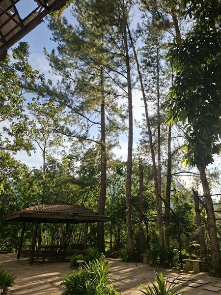 Villa Indah - 3