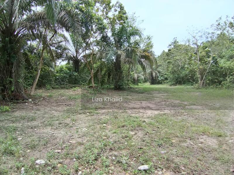 5 Ekar Tanah Tepi Jalan Ada Sungai - 5