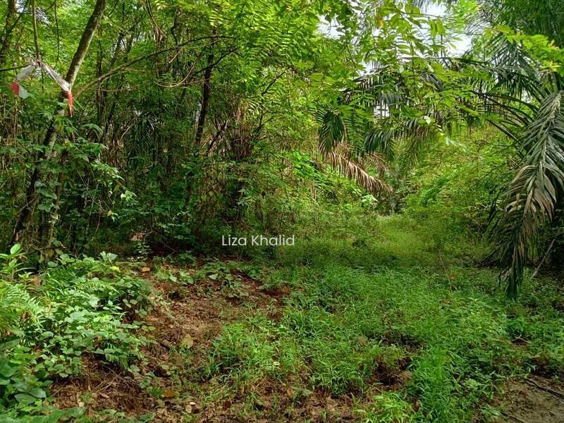 5 Ekar Tanah Tepi Jalan Ada Sungai - 3