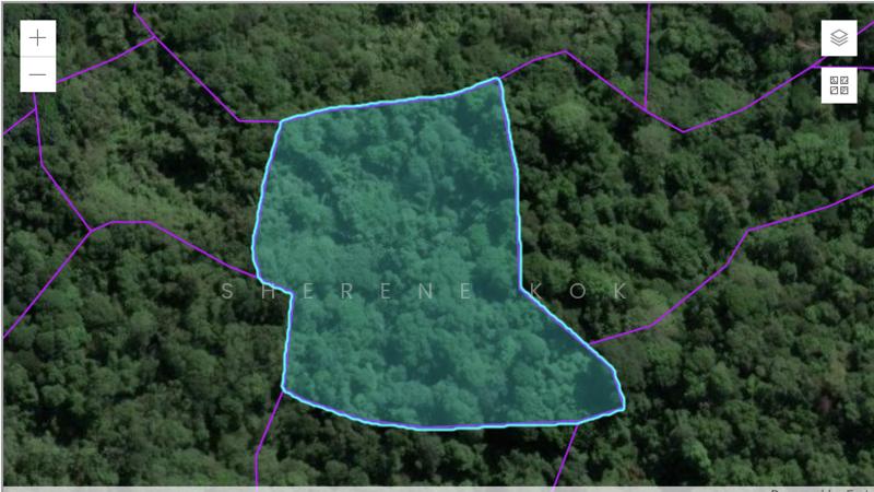 Native Agricultural Land @ Boyan Heights - 3