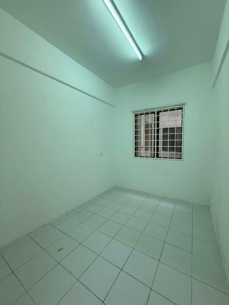 Ixora - 4