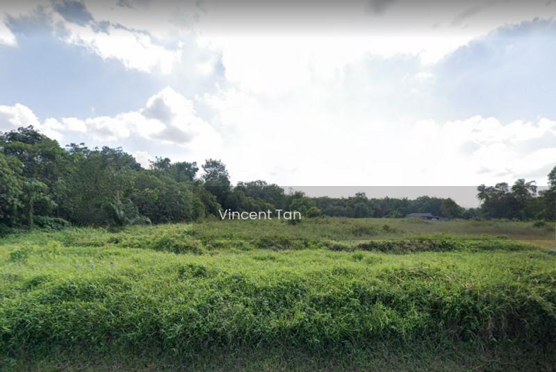 Land For Sale Port Of Tanjung Pelepas @ Johor - 1