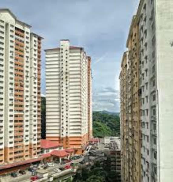 Flora Damansara Apartment - 3