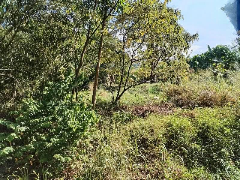 Tanah Lot Desa Timah Langat Dengkil - 2