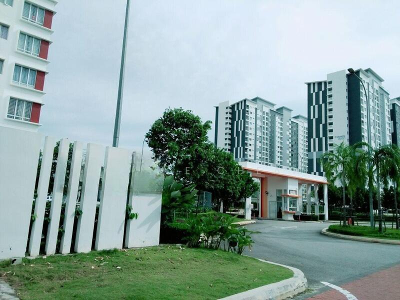 D'Cassia - 4