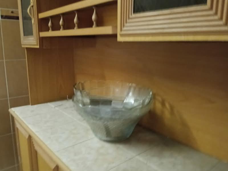 Taman Millennium Sentosa - 4