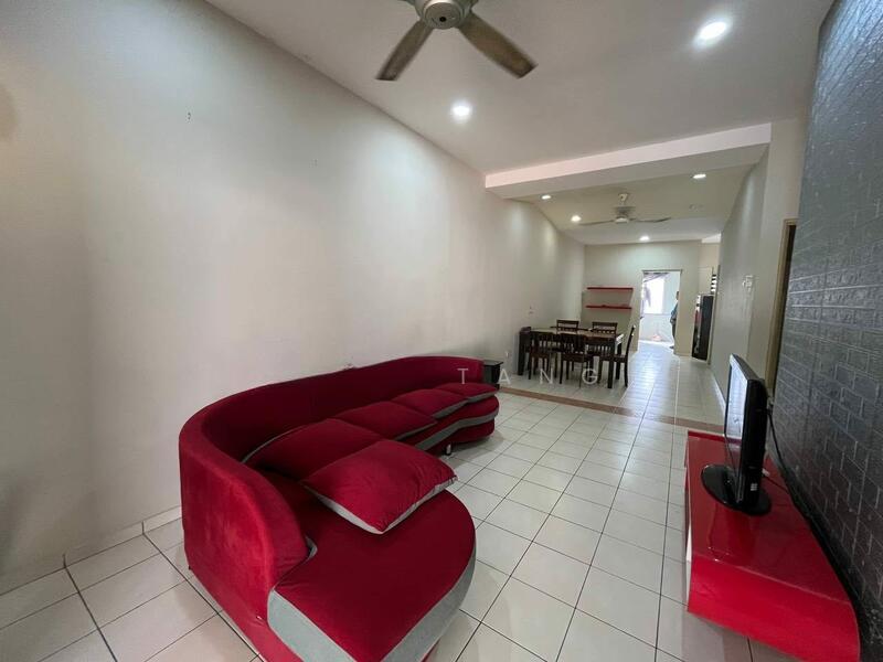 seri botani palma - 4