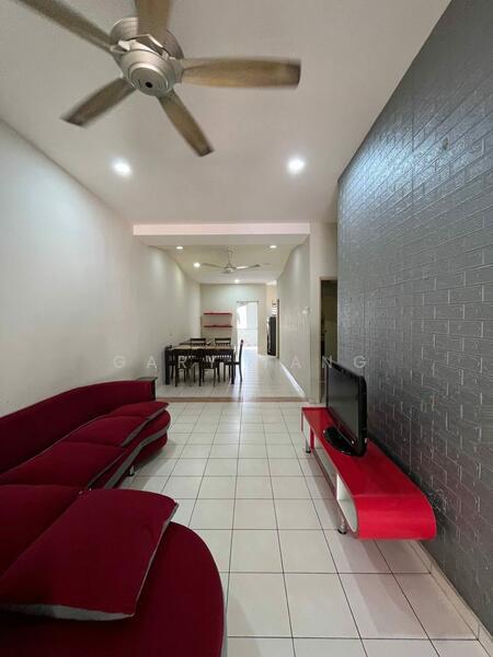 seri botani palma - 5