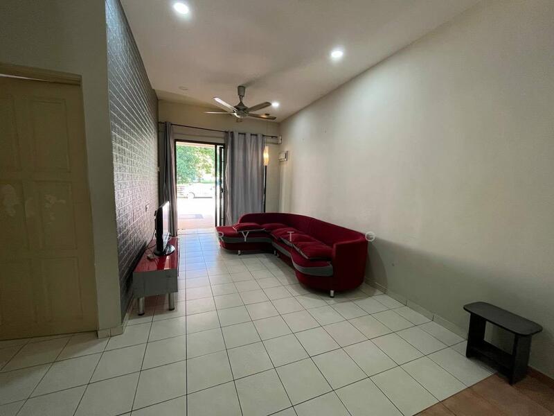 seri botani palma - 1