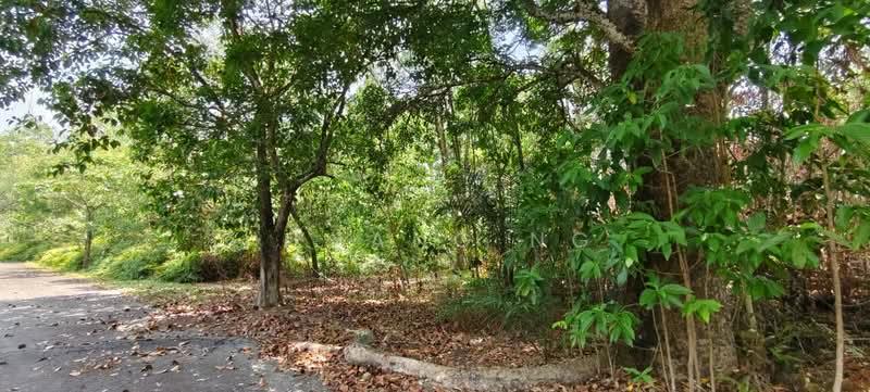 Beranang bungalow land for sale - 1